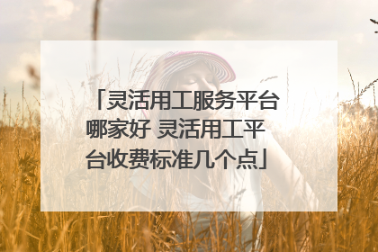 灵活用工服务平台哪家好 灵活用工平台收费标准几个点