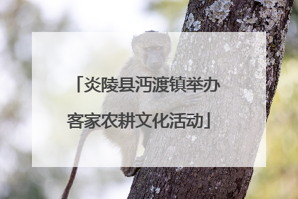 炎陵县沔渡镇举办客家农耕文化活动