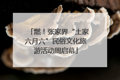 燃！张家界“土家六月六”民俗文化旅游活动周启幕