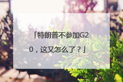 特朗普不参加G20，这又怎么了？