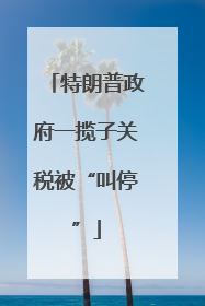 特朗普政府一揽子关税被“叫停”