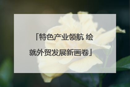 特色产业领航 绘就外贸发展新画卷