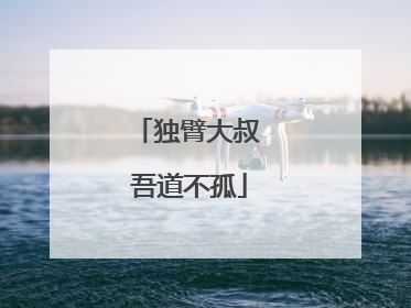 独臂大叔 吾道不孤