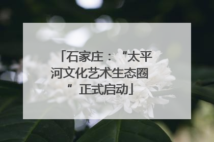 石家庄：“太平河文化艺术生态圈”正式启动
