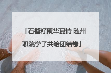 石榴籽聚华夏情 随州职院学子共绘团结卷