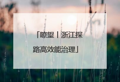 瞭望丨浙江探路高效能治理