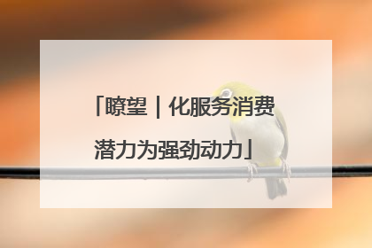 瞭望｜化服务消费潜力为强劲动力