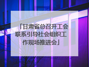 甘肃省总召开工会联系引导社会组织工作现场推进会