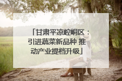 甘肃平凉崆峒区：引进蔬菜新品种 推动产业提档升级