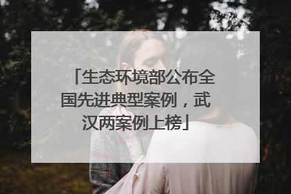 生态环境部公布全国先进典型案例，武汉两案例上榜