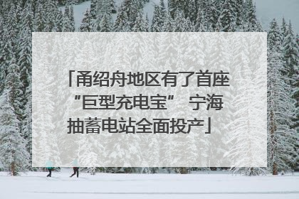 甬绍舟地区有了首座“巨型充电宝” 宁海抽蓄电站全面投产