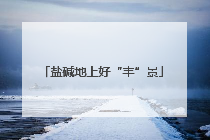 盐碱地上好“丰”景