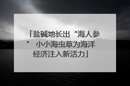盐碱地长出“海人参” 小小海虫草为海洋经济注入新活力