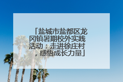盐城市盐都区龙冈镇暑期校外实践活动：走进徐庄村，感悟成长力量