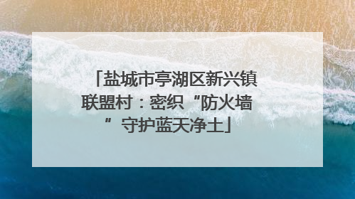 盐城市亭湖区新兴镇联盟村：密织“防火墙”守护蓝天净土
