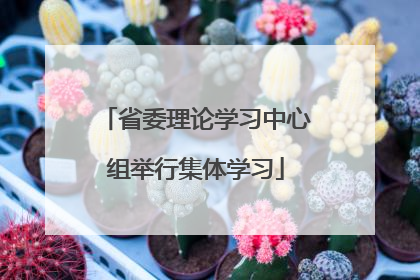 省委理论学习中心组举行集体学习