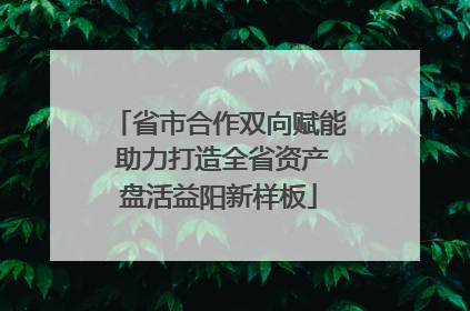 省市合作双向赋能 助力打造全省资产盘活益阳新样板