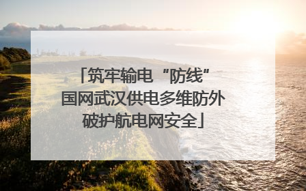 筑牢输电“防线” 国网武汉供电多维防外破护航电网安全