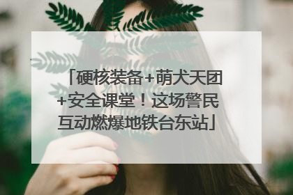 硬核装备+萌犬天团+安全课堂！这场警民互动燃爆地铁台东站