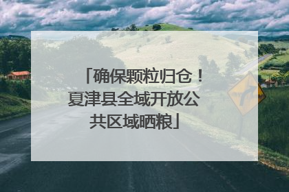 确保颗粒归仓！夏津县全域开放公共区域晒粮