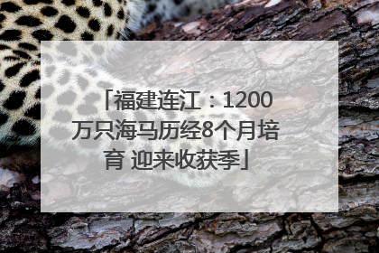 福建连江：1200万只海马历经8个月培育 迎来收获季