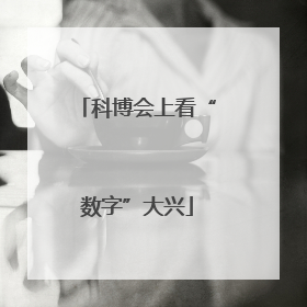科博会上看“数字”大兴