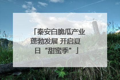秦安白脆瓜产业蓬勃发展 开启夏日“甜蜜季”