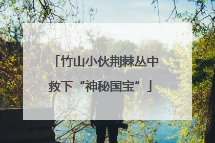 竹山小伙荆棘丛中救下“神秘国宝”
