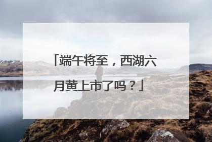 端午将至，西湖六月黄上市了吗？