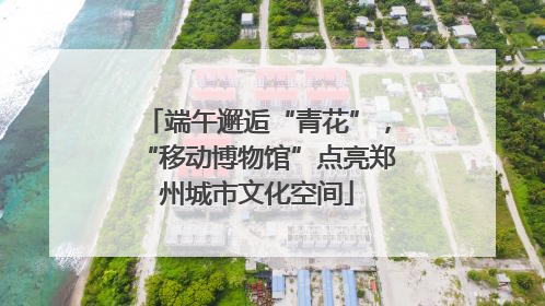 端午邂逅“青花”，“移动博物馆”点亮郑州城市文化空间