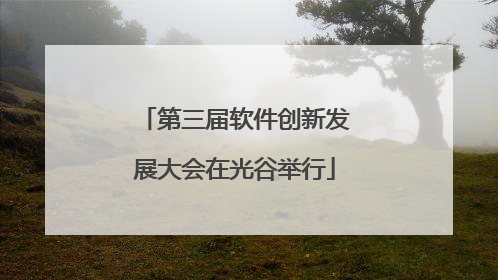 第三届软件创新发展大会在光谷举行