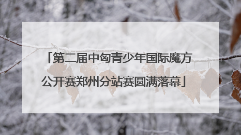 第二届中匈青少年国际魔方公开赛郑州分站赛圆满落幕