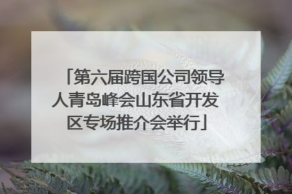 第六届跨国公司领导人青岛峰会山东省开发区专场推介会举行