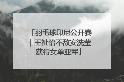 羽毛球印尼公开赛｜王祉怡不敌安洗莹 获得女单亚军