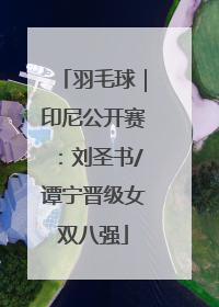 羽毛球｜印尼公开赛：刘圣书/谭宁晋级女双八强