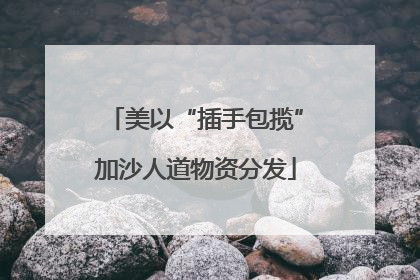美以“插手包揽”加沙人道物资分发