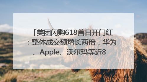美团闪购618首日开门红：整体成交额增长两倍，华为、Apple、沃尔玛等近800个品牌翻倍增长