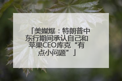 美媒爆：特朗普中东行期间承认自己和苹果CEO库克“有点小问题”
