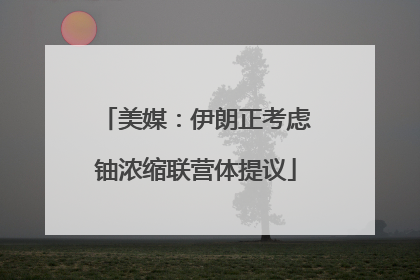 美媒：伊朗正考虑铀浓缩联营体提议