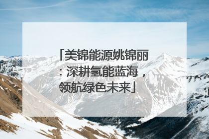 美锦能源姚锦丽：深耕氢能蓝海，领航绿色未来