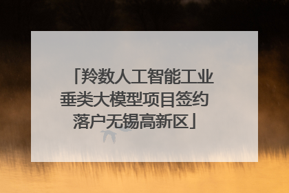 羚数人工智能工业垂类大模型项目签约落户无锡高新区