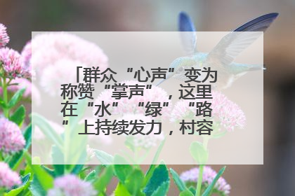 群众“心声”变为称赞“掌声”，这里在“水”“绿”“路”上持续发力，村容村貌焕然一新