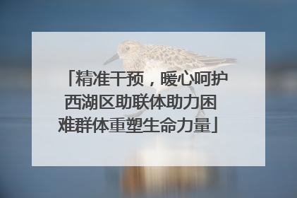 精准干预，暖心呵护 西湖区助联体助力困难群体重塑生命力量