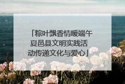 粽叶飘香情暖端午 夏邑县文明实践活动传递文化与爱心