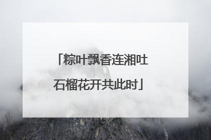 粽叶飘香连湘吐 石榴花开共此时