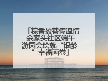 粽香盈巷传温情 余家头社区端午游园会绘就“银龄”幸福画卷