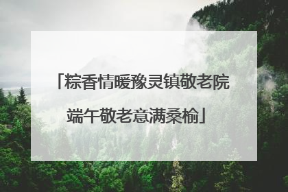 粽香情暖豫灵镇敬老院 端午敬老意满桑榆