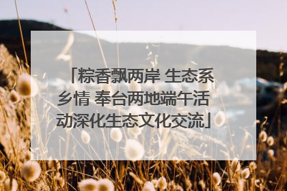 粽香飘两岸 生态系乡情 奉台两地端午活动深化生态文化交流