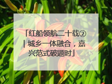 红船领航二十载②｜城乡一体融合，嘉兴范式破题时