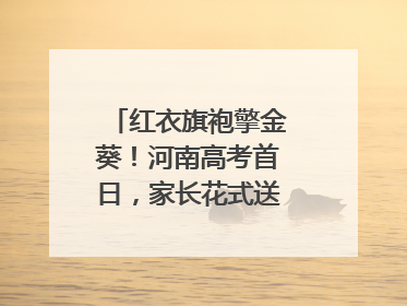 红衣旗袍擎金葵！河南高考首日，家长花式送考藏满爱与盼